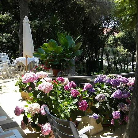 Hotel La Rosa Del Tirreno Livorno