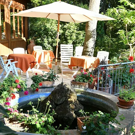 Hotel La Rosa Del Tirreno Livorno